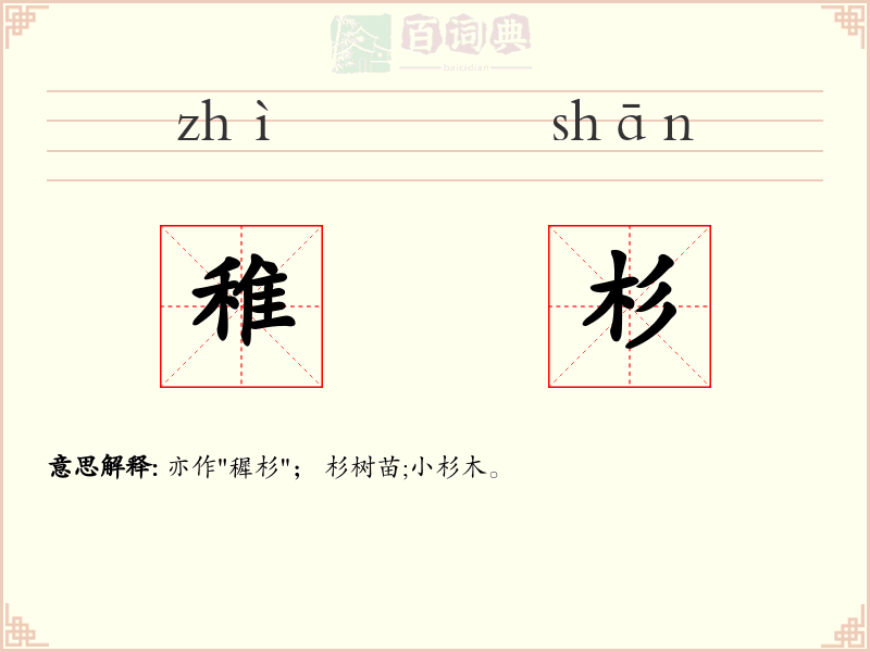 稚杉