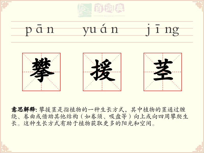 攀援茎
