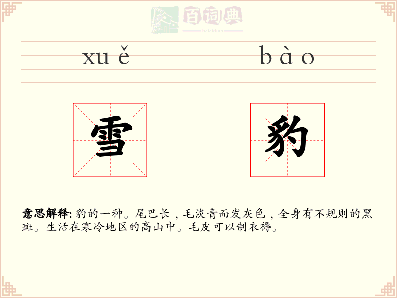 雪豹