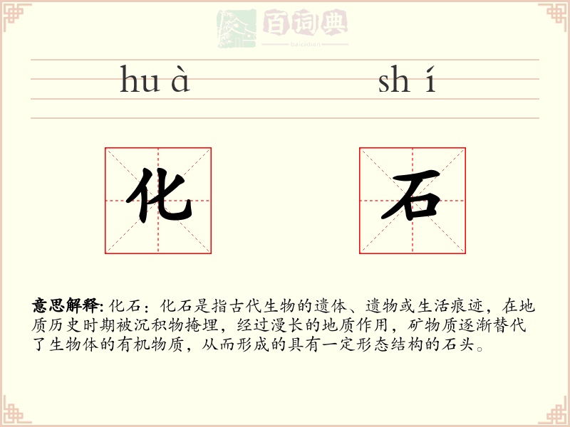 化石