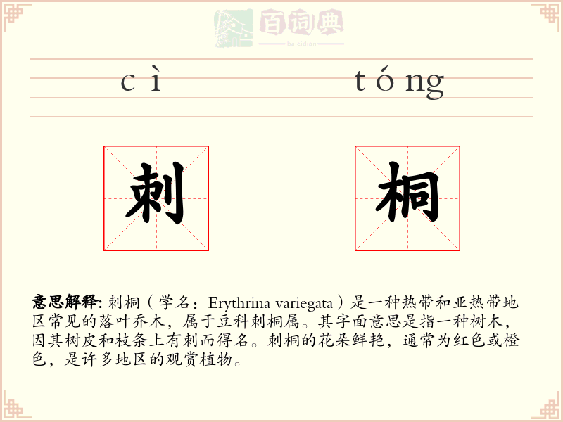 刺桐
