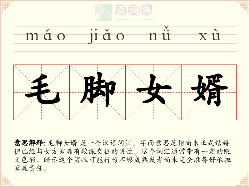 毛脚女婿