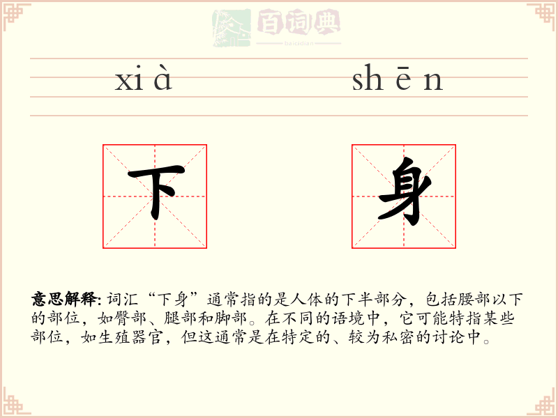 下身