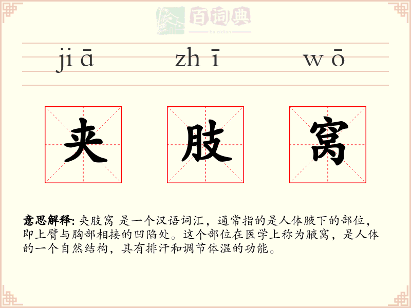 夹肢窝