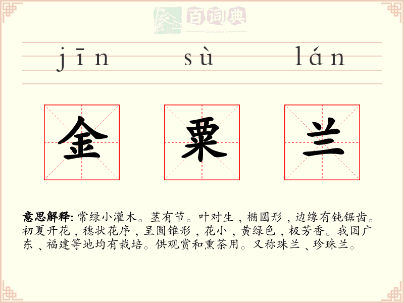 金粟兰