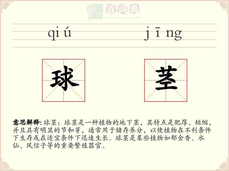 球茎