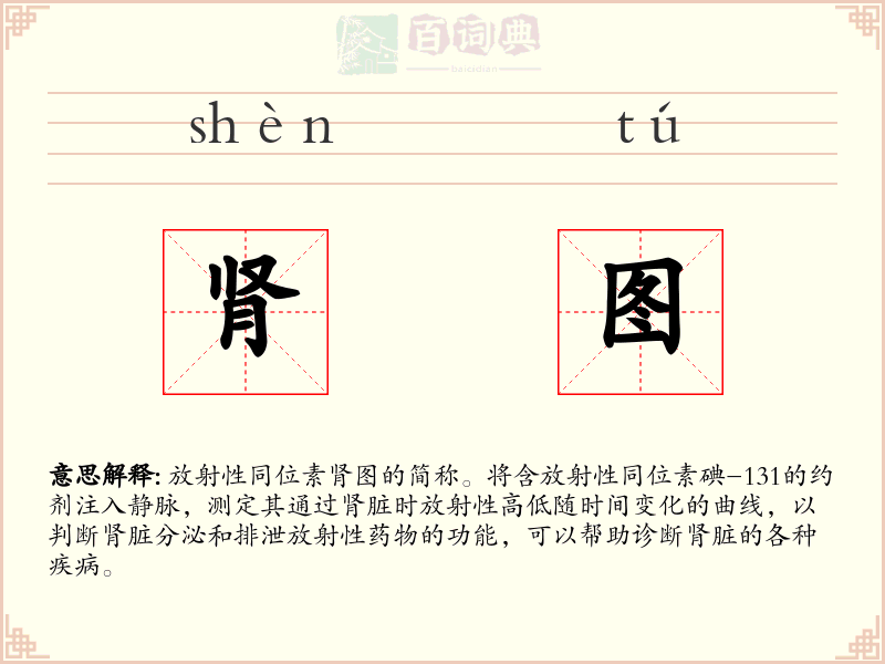肾图