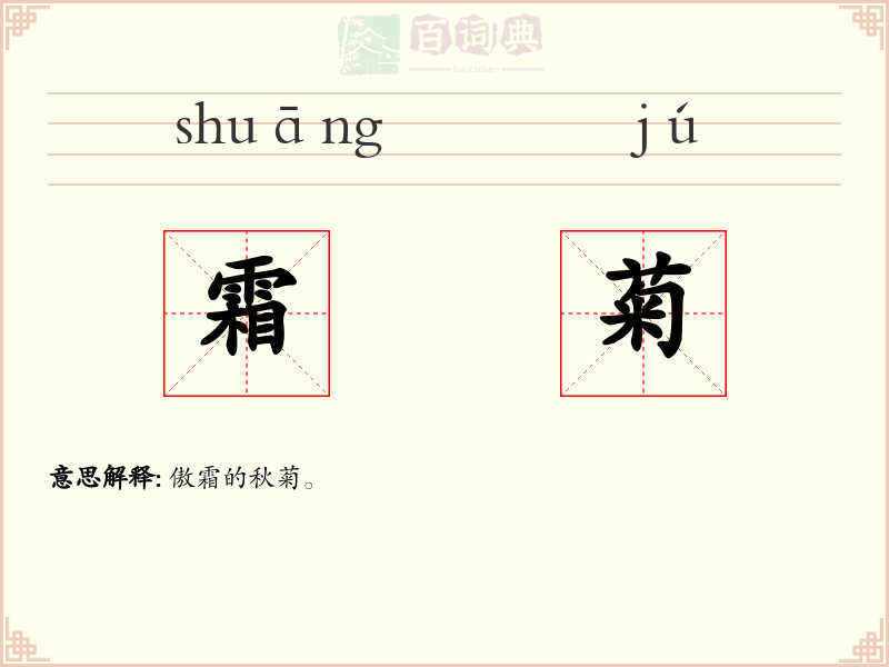 霜菊