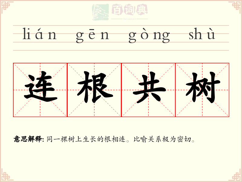 连根共树