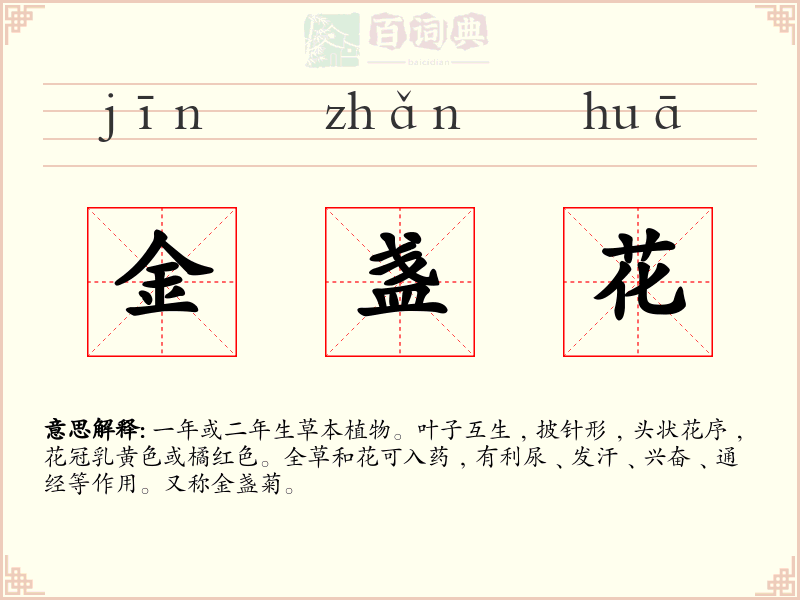 金盏花