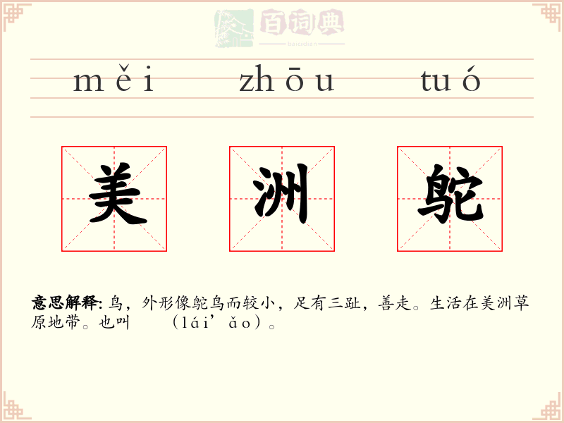 美洲鸵