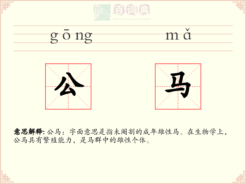 公马