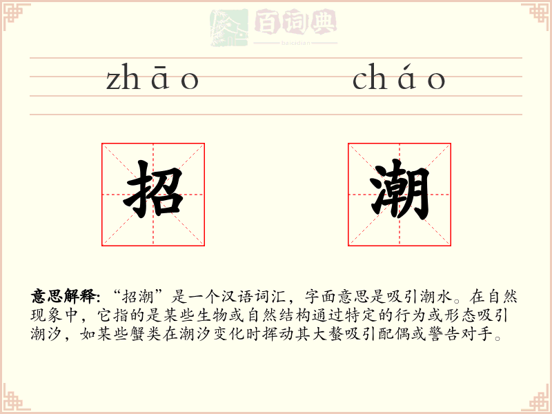 招潮