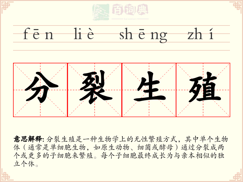分裂生殖