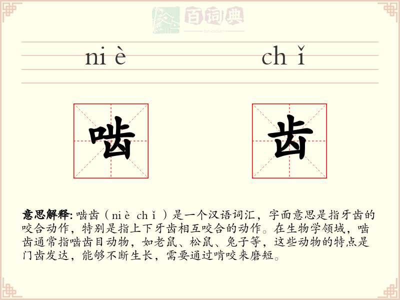 啮齿