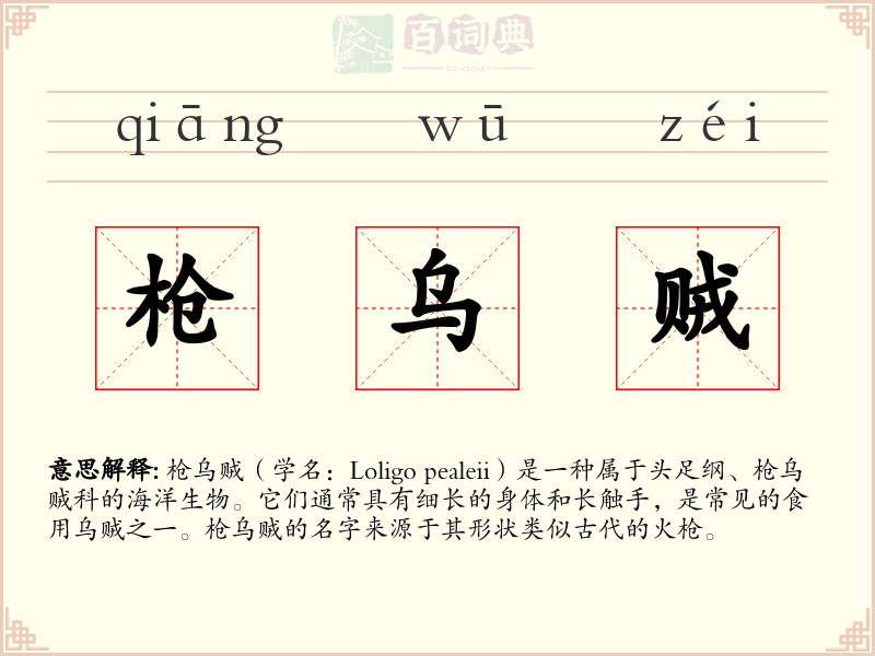 枪乌贼