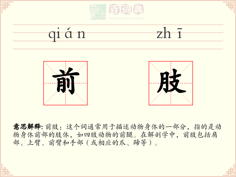 前肢