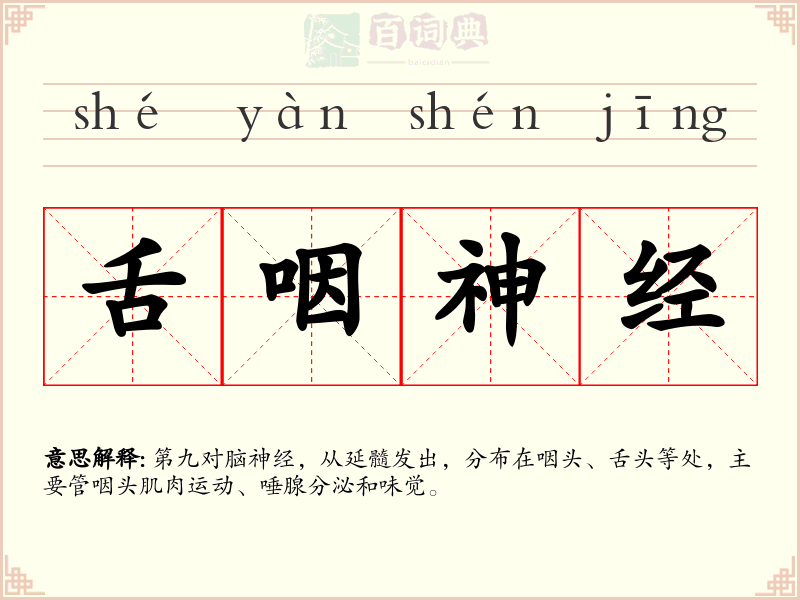 舌咽神经