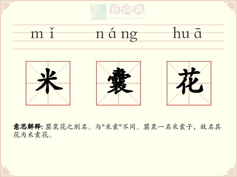 米囊花
