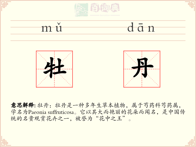 牡丹