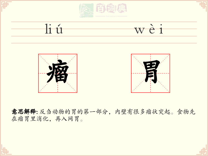 瘤胃