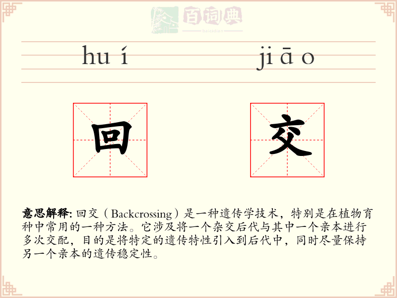 回交
