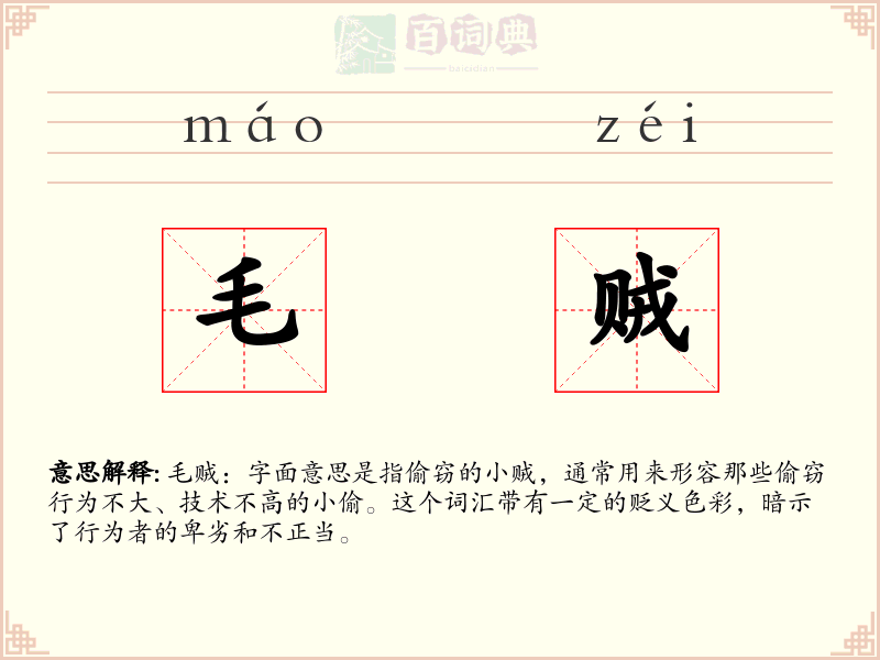 毛贼