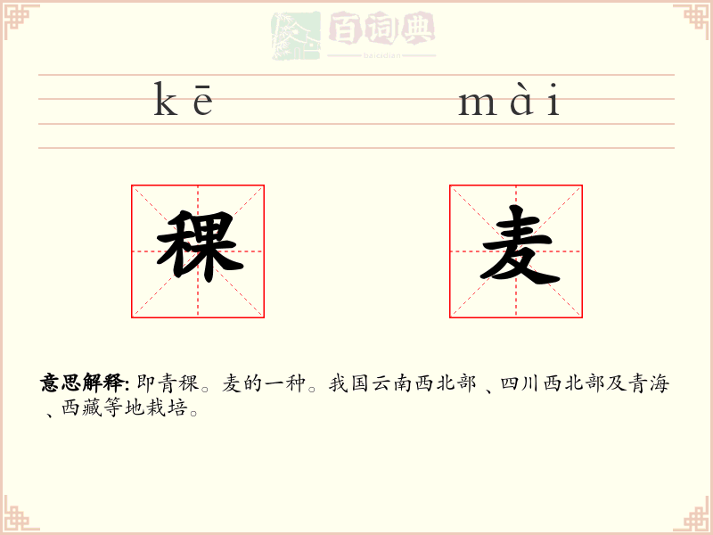 稞麦
