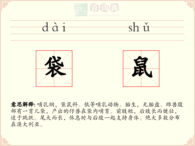 袋鼠