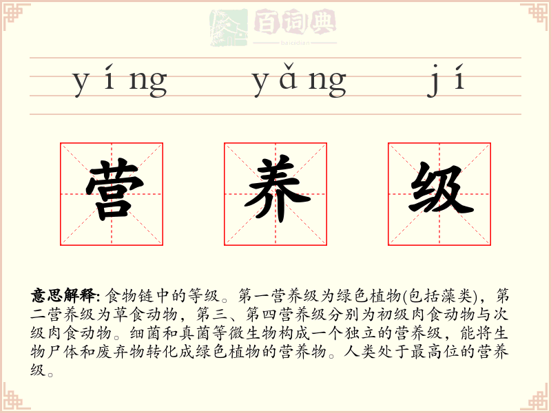 营养级