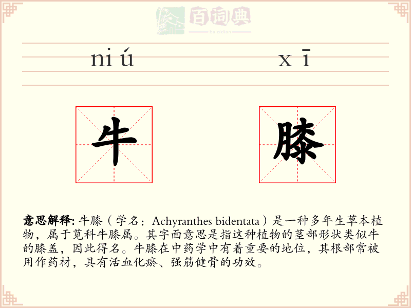 牛膝