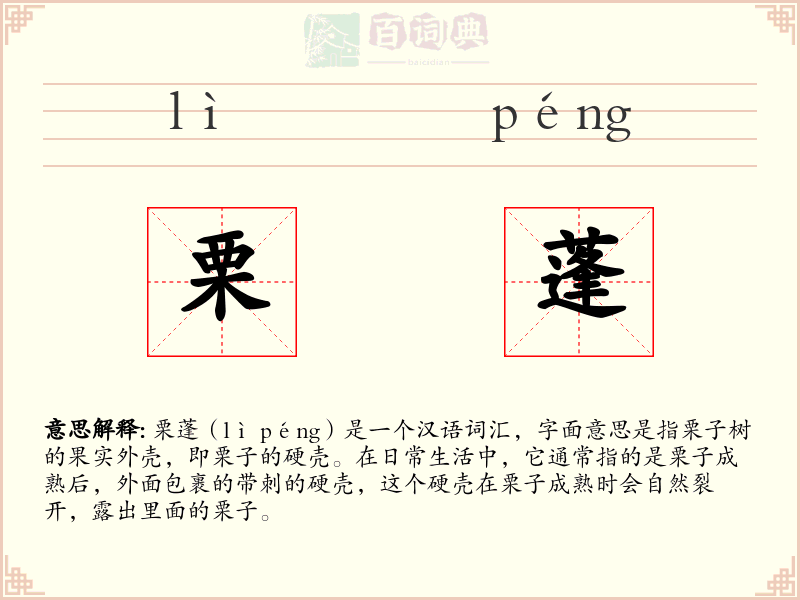 栗蓬