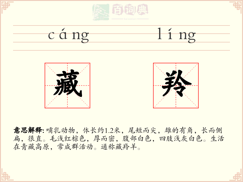 藏羚