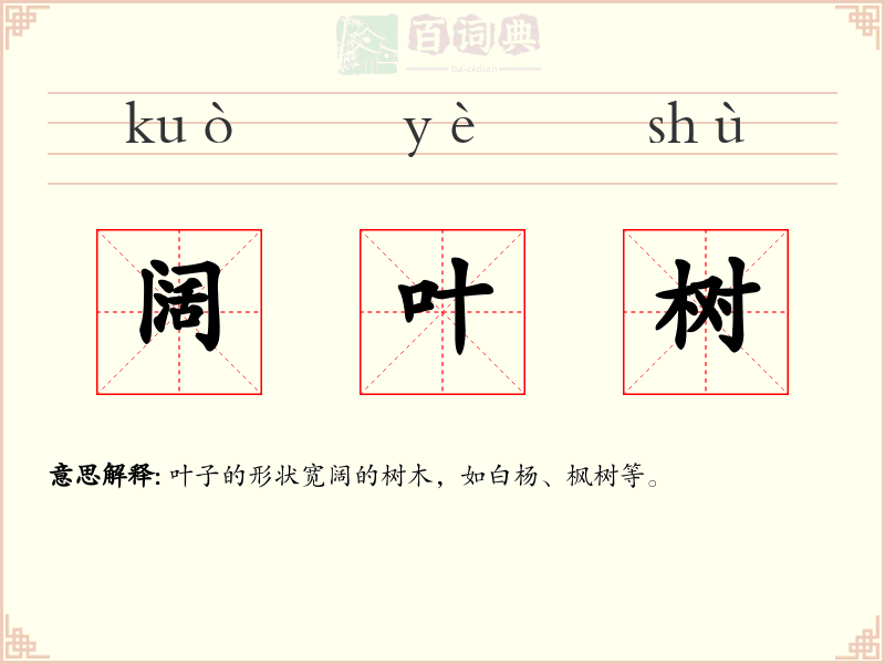 阔叶树