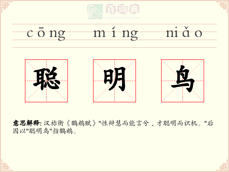 聪明鸟