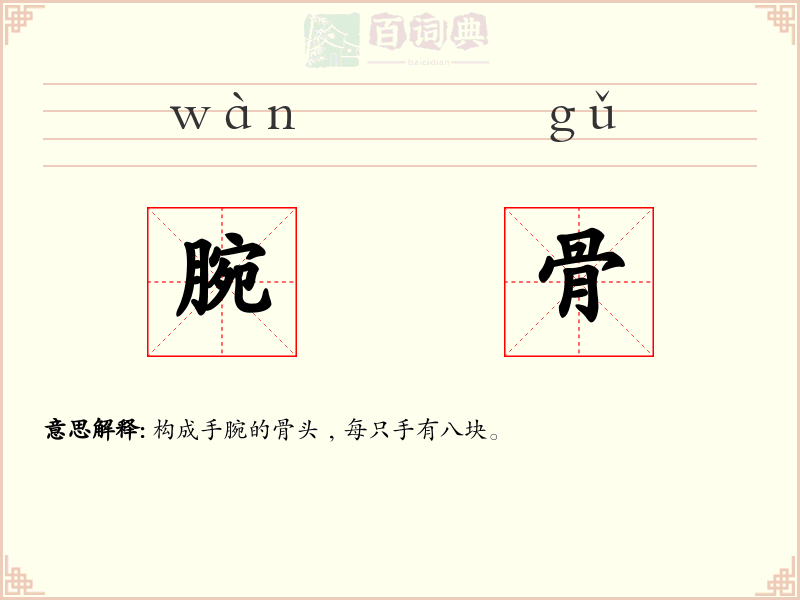 腕骨