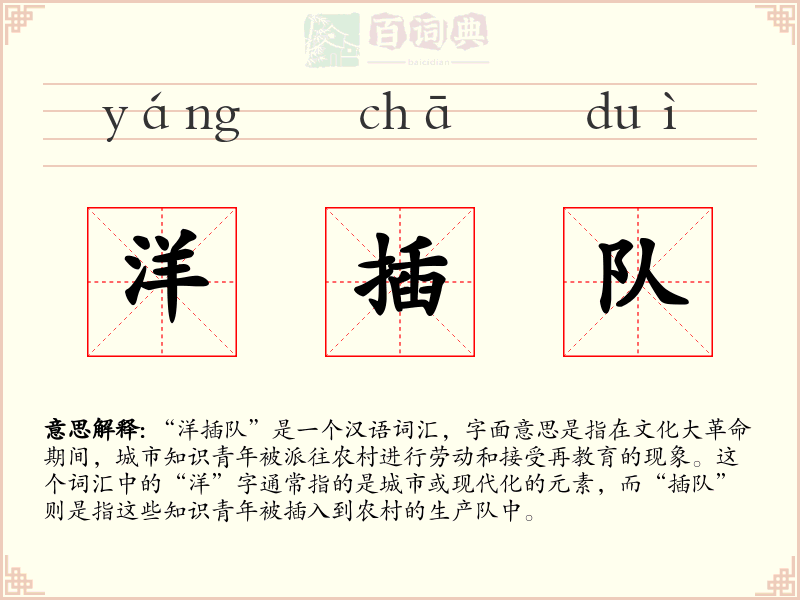 洋插队