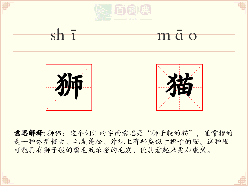 狮猫