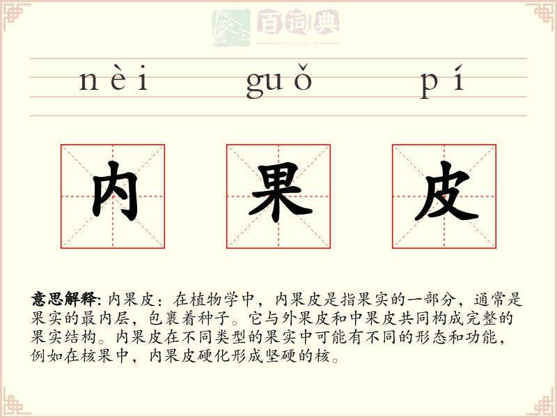 内果皮