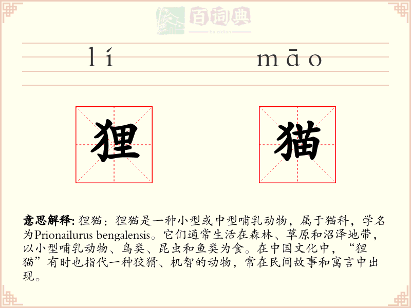 狸猫