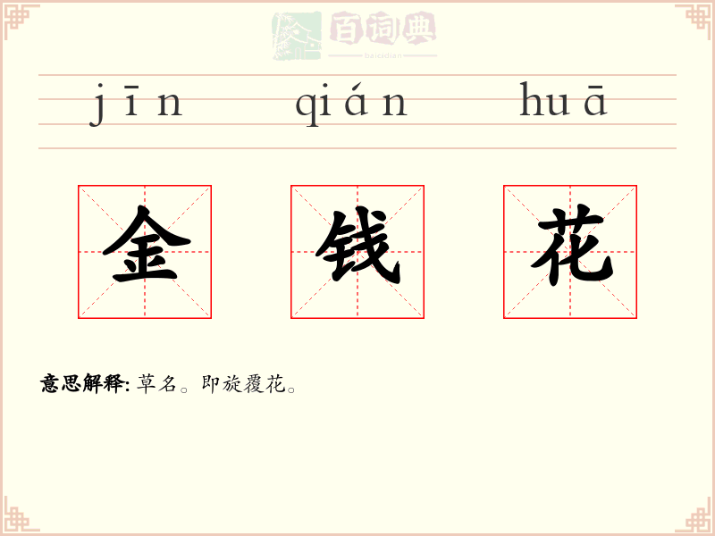 金钱花