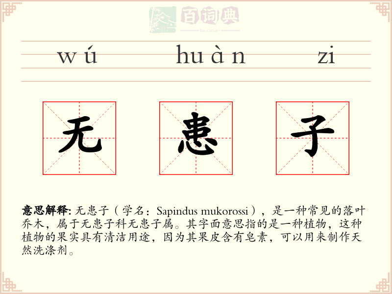 无患子