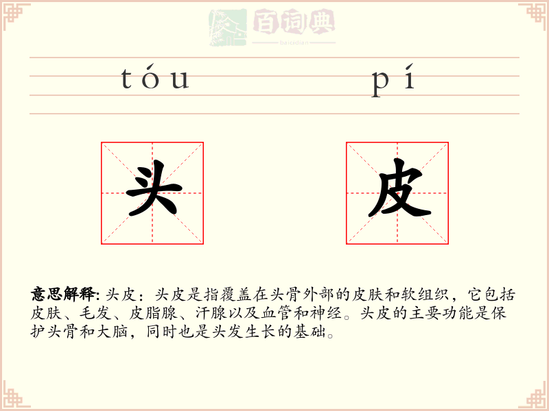 头皮