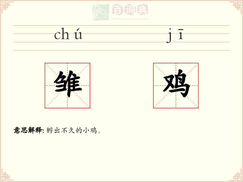 雏鸡