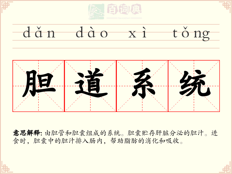 胆道系统