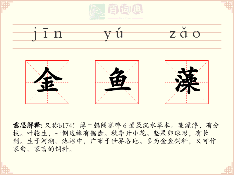 金鱼藻