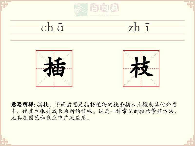 插枝