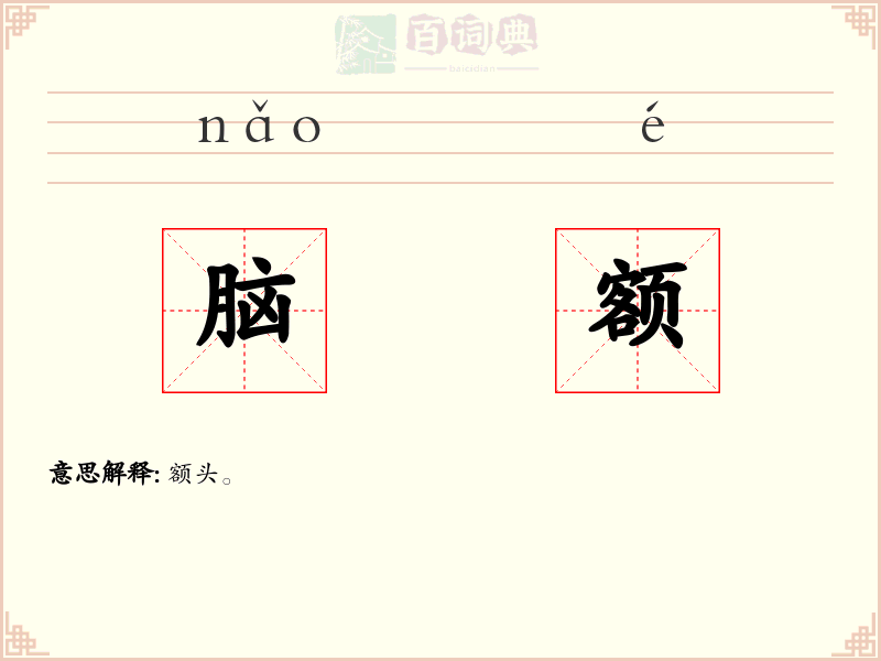 脑额