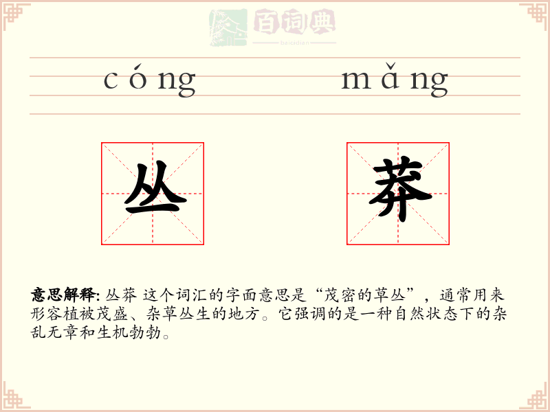 丛莽