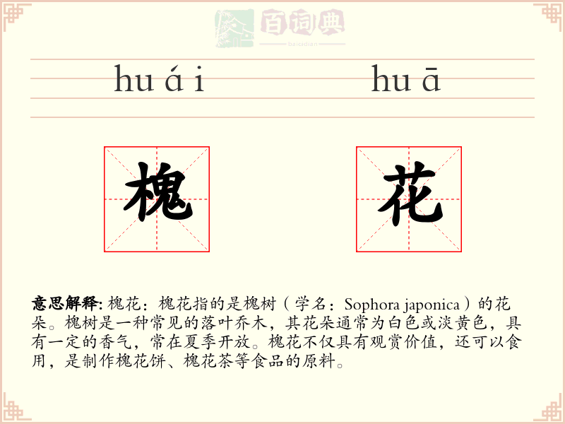 槐花